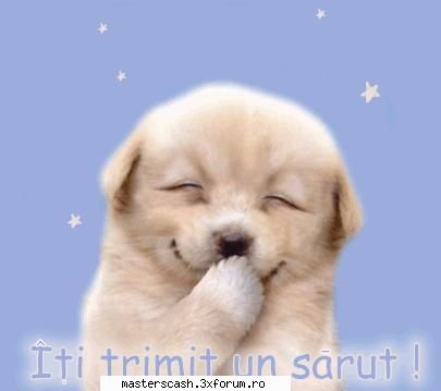 cele mai tari bancuri care stiti dupa noapte lipsita intoarce sotzul uimit....o intreaba s`a