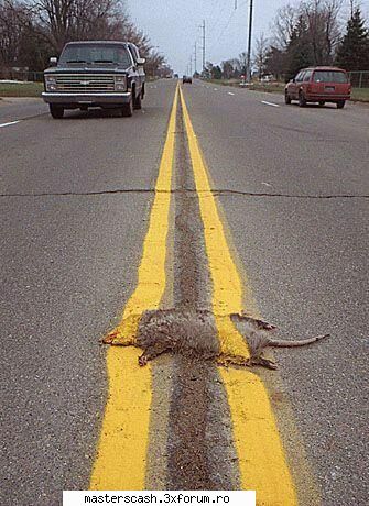 strada in romania poze funny
