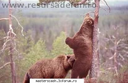 Poze funny - mistik - Fun Zone